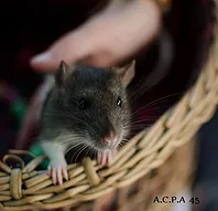 Première photo de l'animal