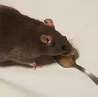Première photo de l'animal
