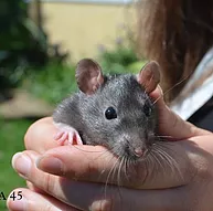 Première photo de l'animal