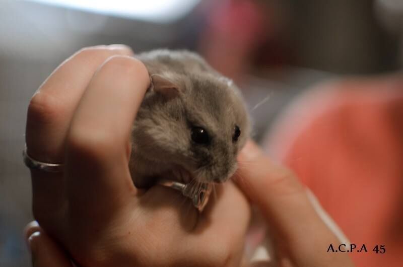 Première photo de l'animal