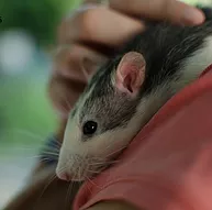 Première photo de l'animal