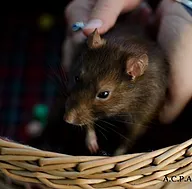 Première photo de l'animal