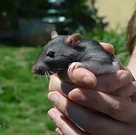 Première photo de l'animal