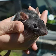 Première photo de l'animal