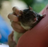 Première photo de l'animal