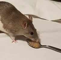Première photo de l'animal