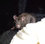 Première photo de l'animal